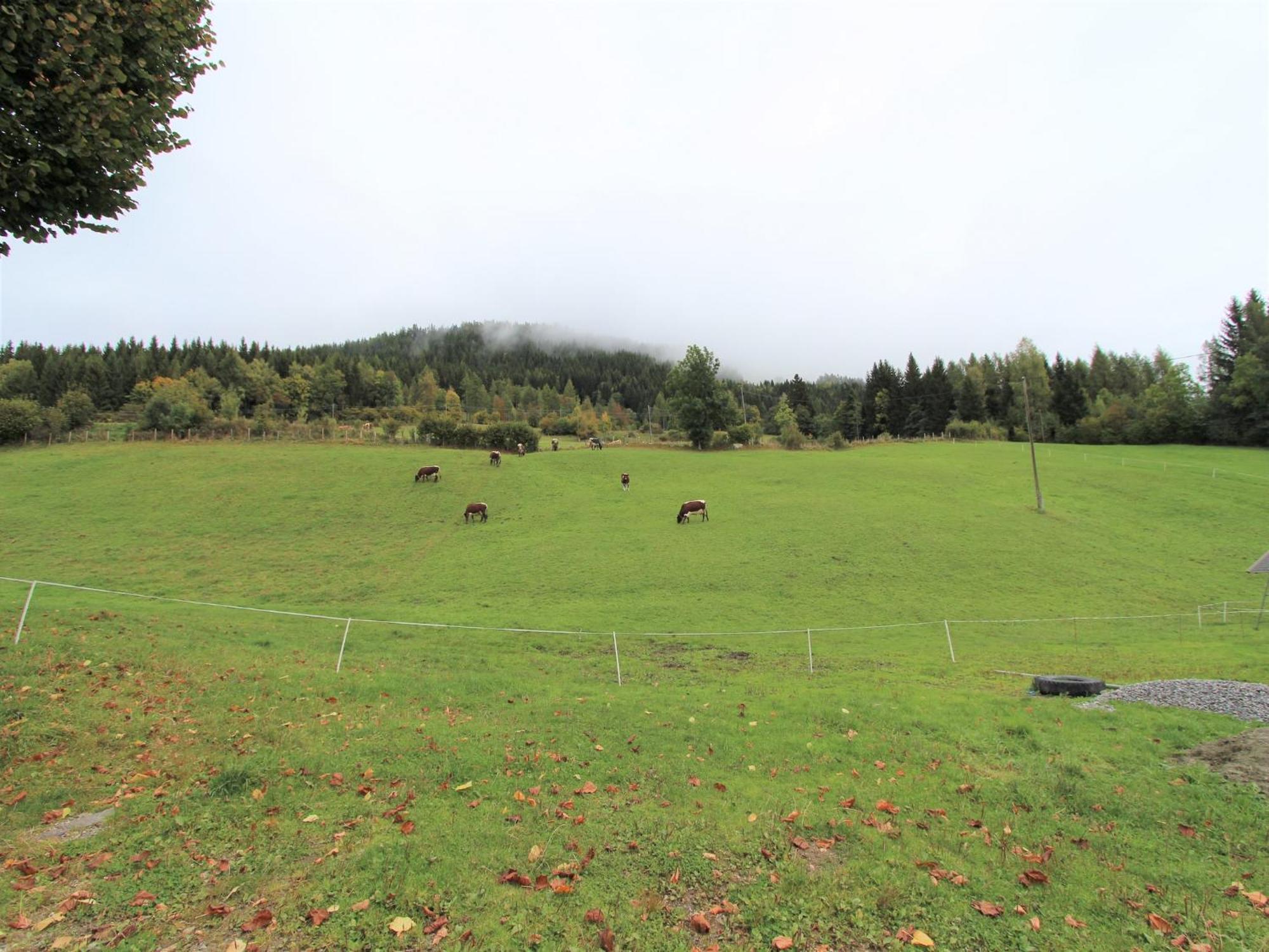 Characterful Old Farmhouse With 4 Apartments In Fresach Carinthia With Garden Exterior photo